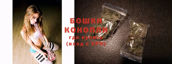 мдпв Богданович