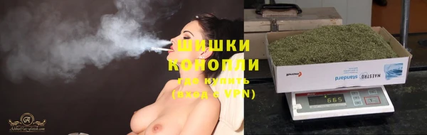 мдпв Богданович