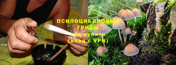 гашиш Богородск