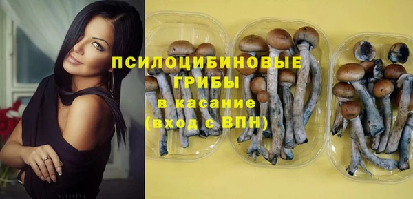 гашиш Богородск
