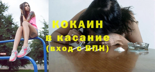 мдпв Богданович